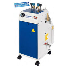 Încarcă imaginea în vizualizatorul Galerie, Generator de abur ECO VAPOR 2/4